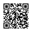 QR Code (код быстрого отклика)