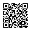 QR Code (код быстрого отклика)