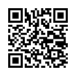 QR Code (код быстрого отклика)