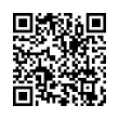 QR Code (код быстрого отклика)