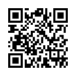 QR Code (код быстрого отклика)