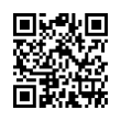 QR Code (код быстрого отклика)