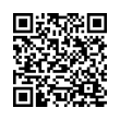 QR Code (код быстрого отклика)