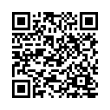 QR Code (код быстрого отклика)