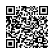 QR Code (код быстрого отклика)