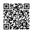 QR Code (код быстрого отклика)