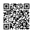 QR Code (код быстрого отклика)