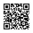 QR Code (код быстрого отклика)