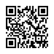 QR Code (код быстрого отклика)