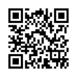QR Code (код быстрого отклика)