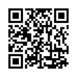 QR Code (код быстрого отклика)