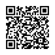 QR Code (код быстрого отклика)