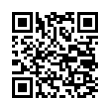 QR Code (код быстрого отклика)