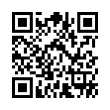 QR Code (код быстрого отклика)