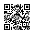 QR Code (код быстрого отклика)