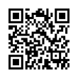 QR Code (код быстрого отклика)