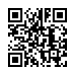 QR Code (код быстрого отклика)