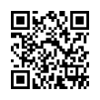 QR Code (код быстрого отклика)